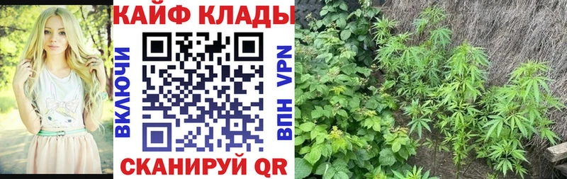 Продажа наркотиков Пыть-Ях мега ONION  Гашиш  Конопля  Альфа ПВП 