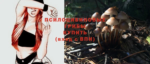 apvp Белоозёрский