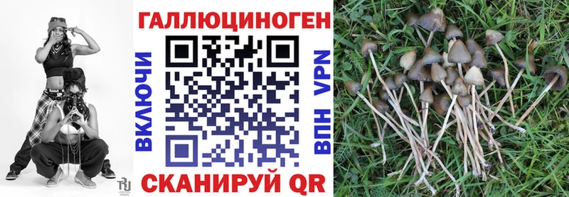 Галлюциногенные грибы Psilocybe  ОМГ ОМГ ТОР  Пыть-Ях 